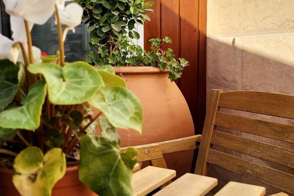 Vintage & Deluxe Apartments Пуерто дел Росарио Екстериор снимка