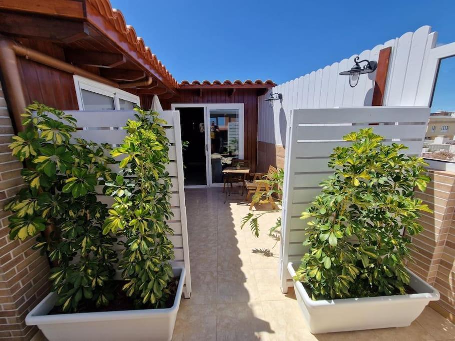 Vintage & Deluxe Apartments Пуерто дел Росарио Екстериор снимка